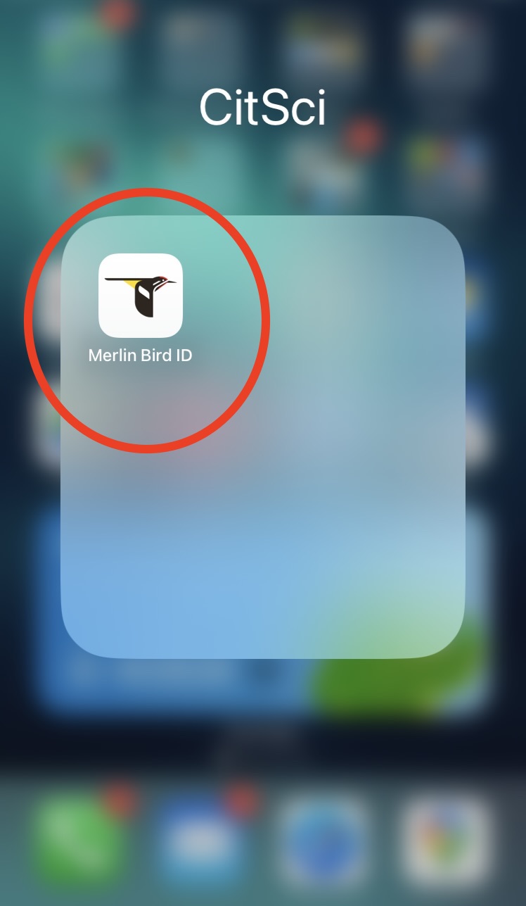 Merlin App Screenshot
