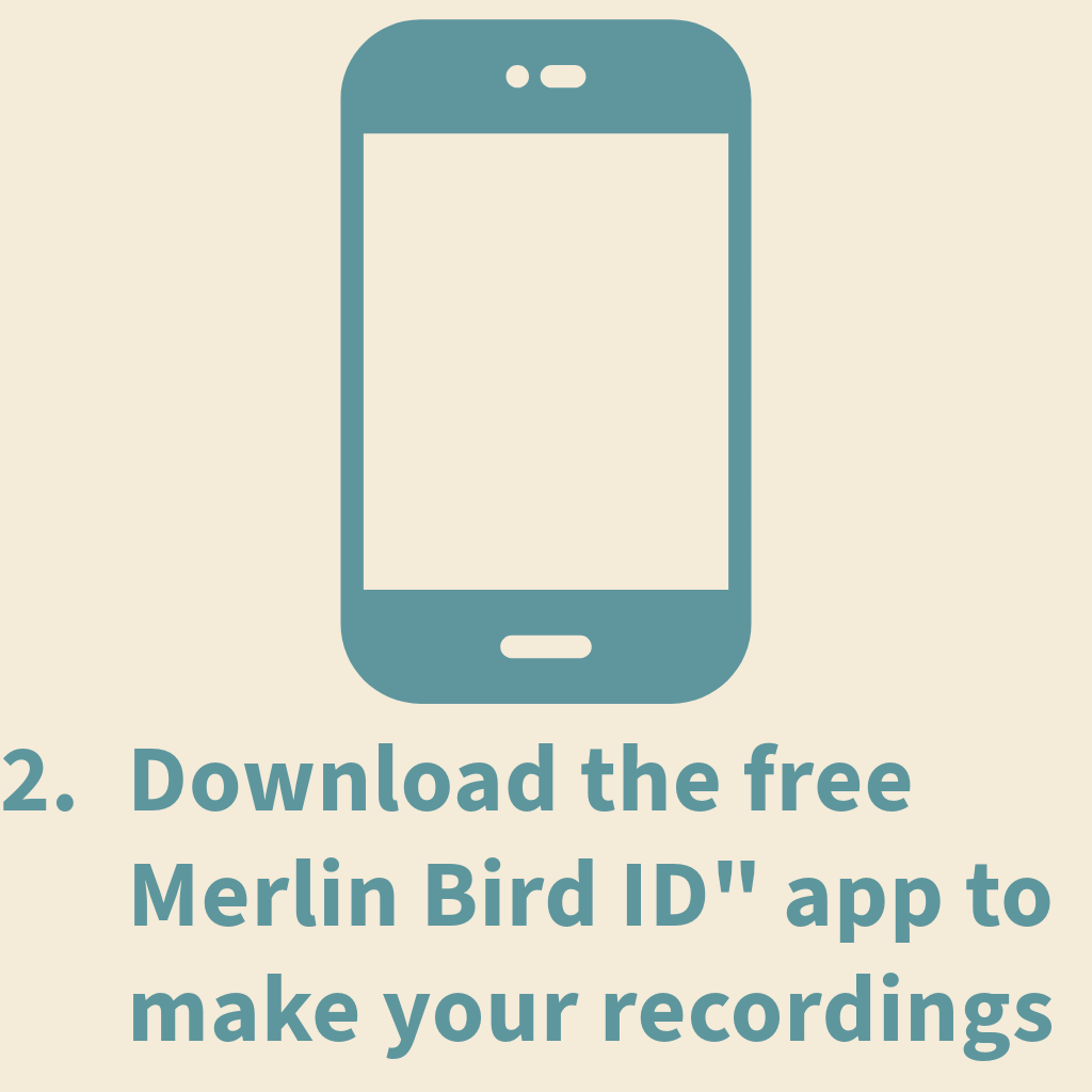 Step 2: Download Merlin