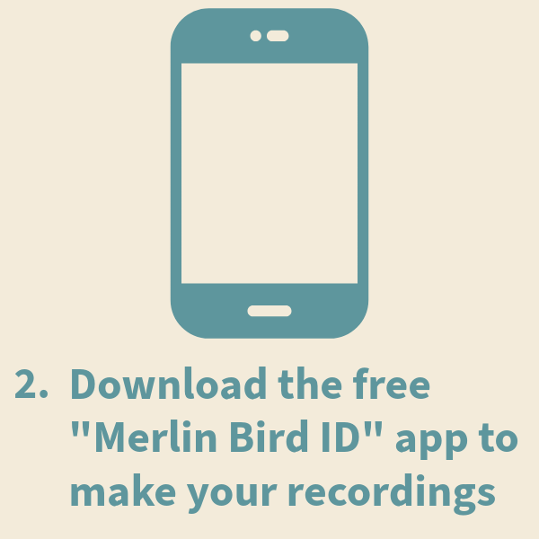 Step 2: Download Merlin