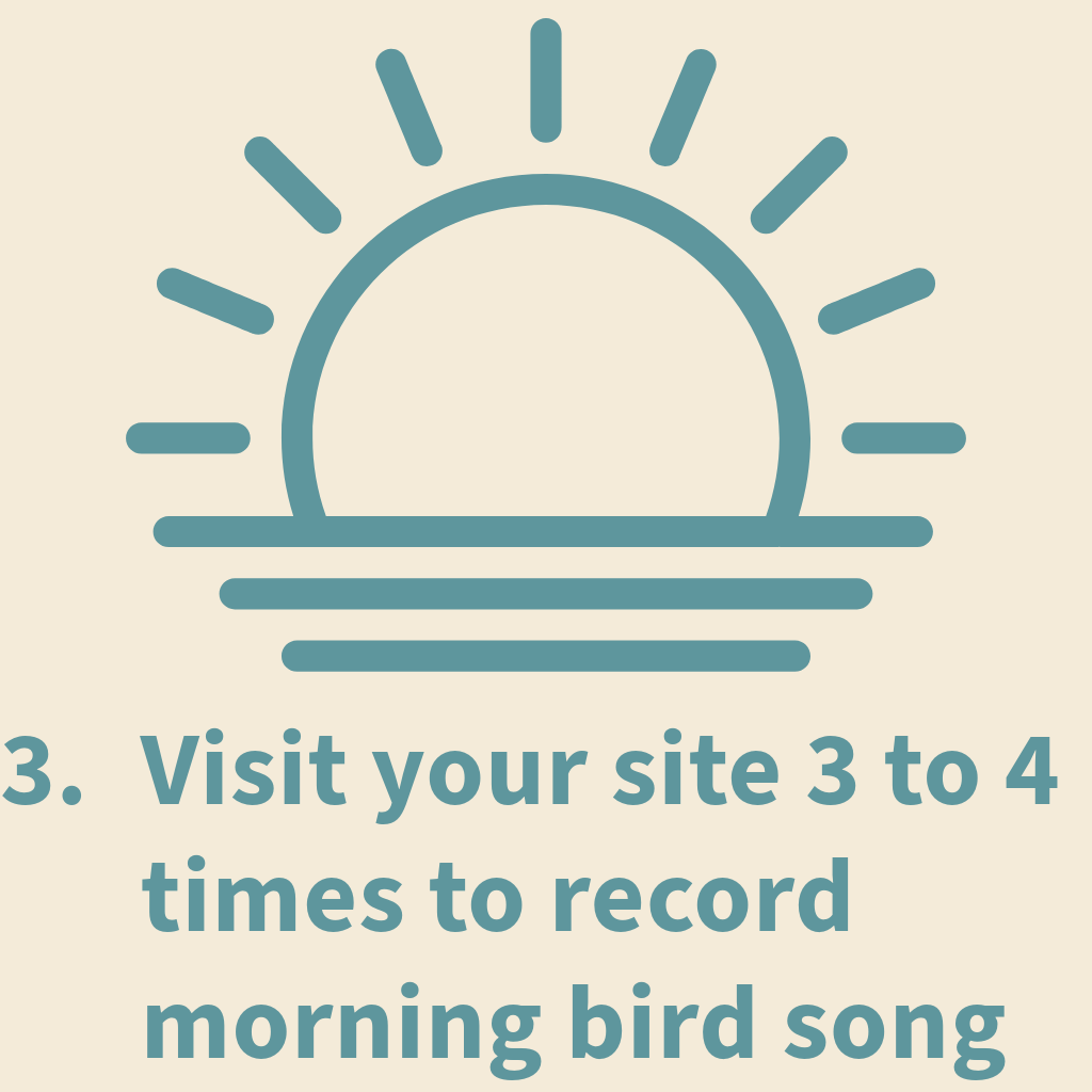Step 3: Make a recording