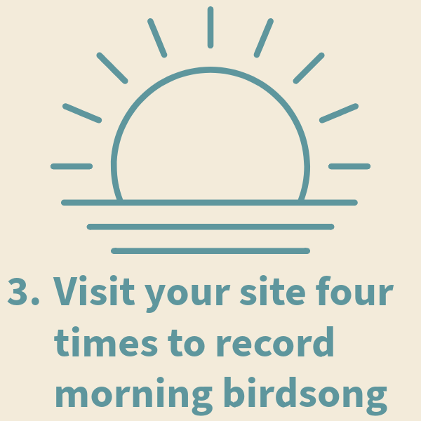 Step 3: Make a recording